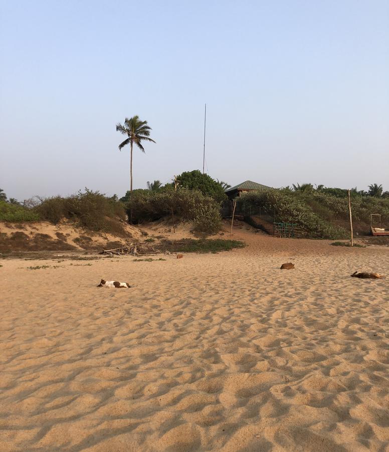 Peravel Beach Holiday Home Candolim Zewnętrze zdjęcie