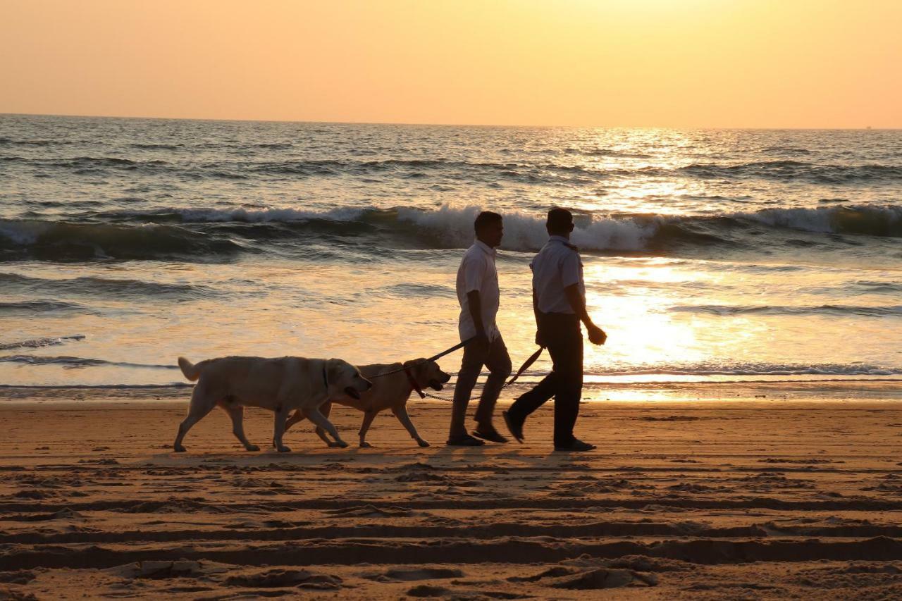 Peravel Beach Holiday Home Candolim Zewnętrze zdjęcie